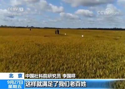 如何通过畜牧渔业饲料产业推动乡村振兴